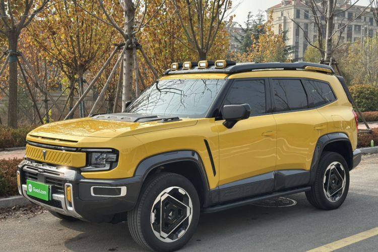 Used Deepal G318 2025 Worry-Free Adventure Edition Four-Wheel Drive Secret Realm Version