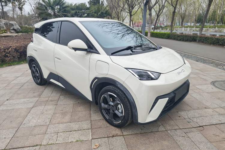 Used BYD Seagull 2023 Flying Edition