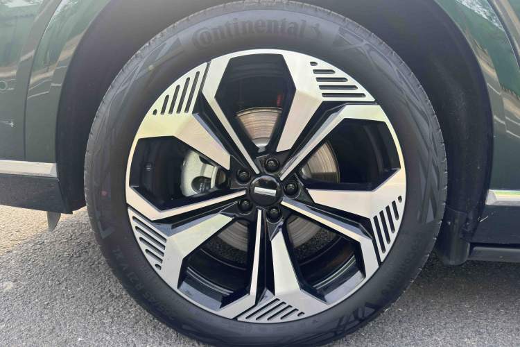 Used Wey Lanshan 2023 Four-Wheel Drive Ultra-Long Range Version Exterior 8