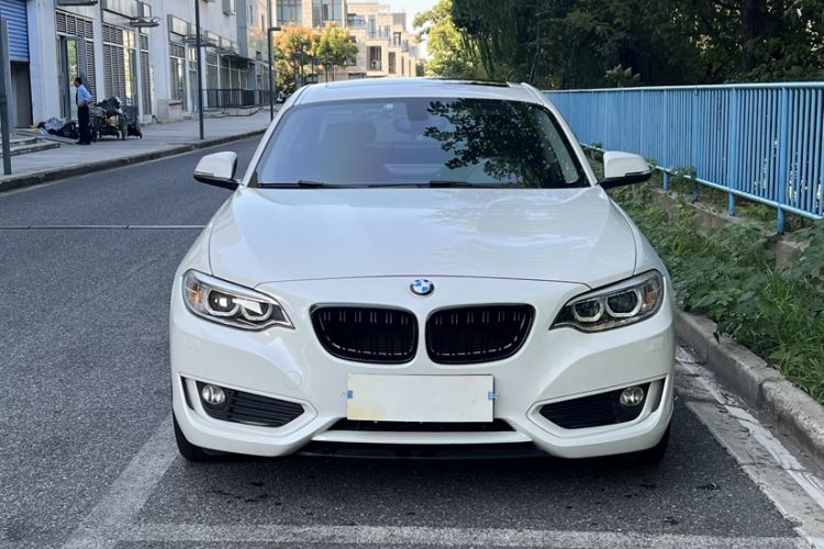 Used BMW 2 Series 2014 220i Leading Model
