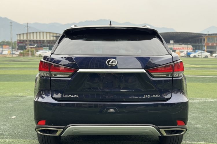 Used Lexus RX 2020 300 4x4 Elegant Edition China VI