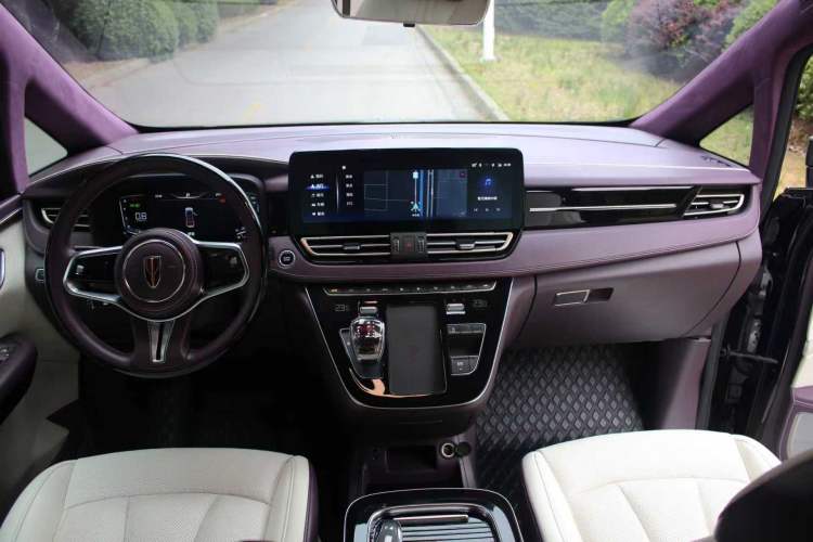 Used Hongqi HQ9 2023 2.0T Smart Connect Flagship Edition