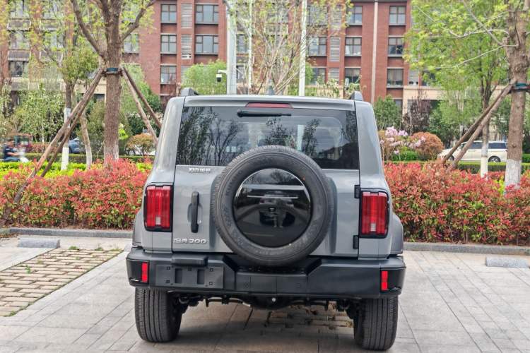 Used Tank 300 2024 2.0T Conqueror
