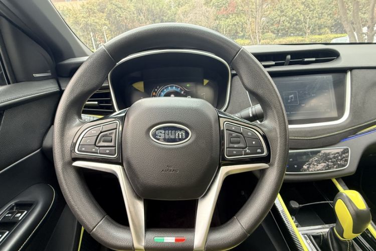 Used SWM G01 2019 F Version 1.5T Automatic Silver Powder Edition China VI Emission Standard
