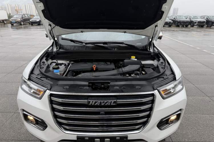 Used Haval H6 2020 1.5 GDIT Automatic Platinum Champion Edition
