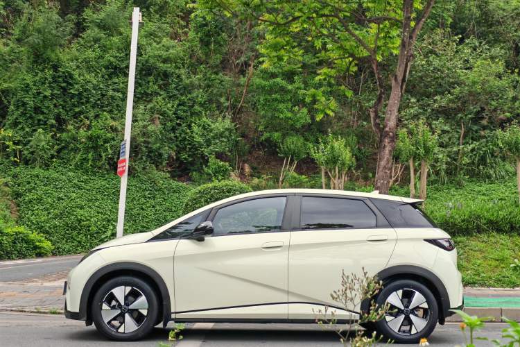 Used BYD Dolphin 2023 420 km Fashion Edition Exterior 8