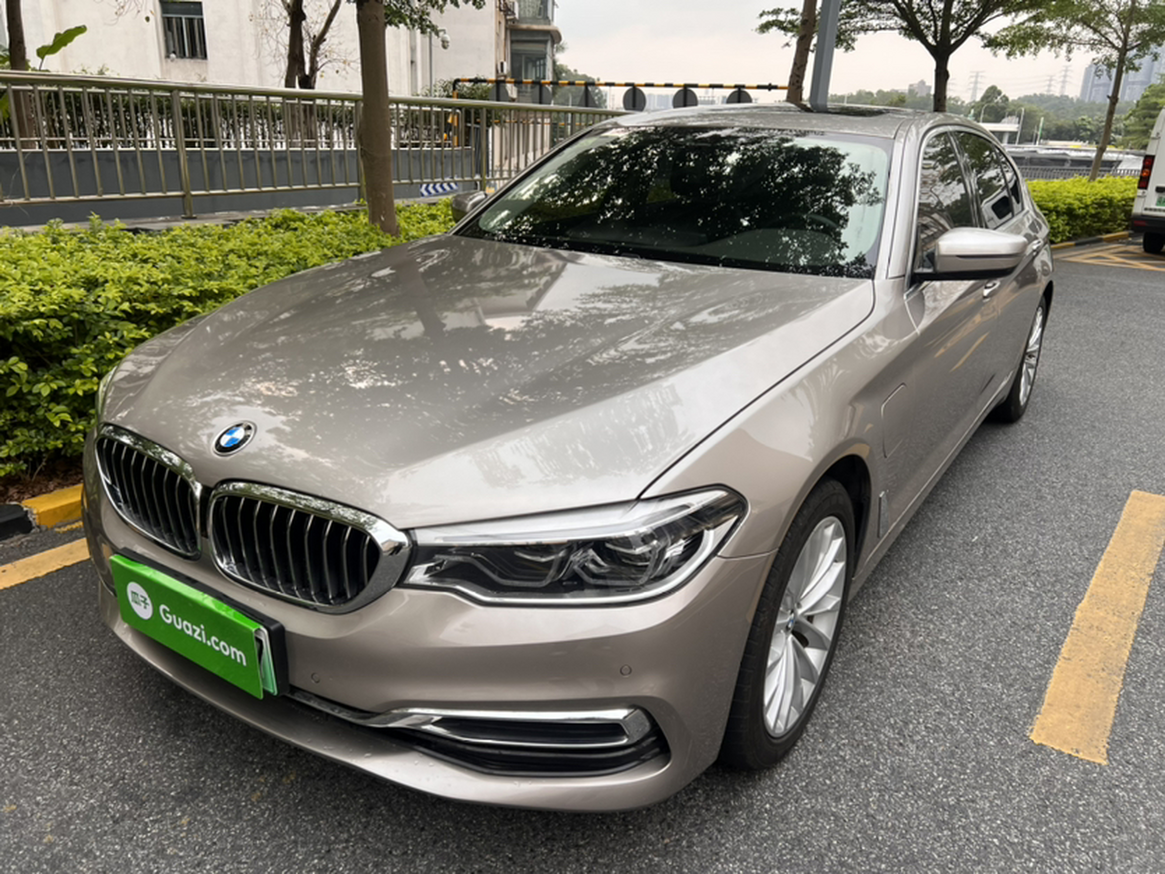 Parte inferior delantera