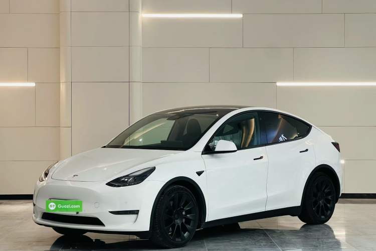 Used Tesla Model Y 2022 Revised Version Long-Range All-Wheel Drive