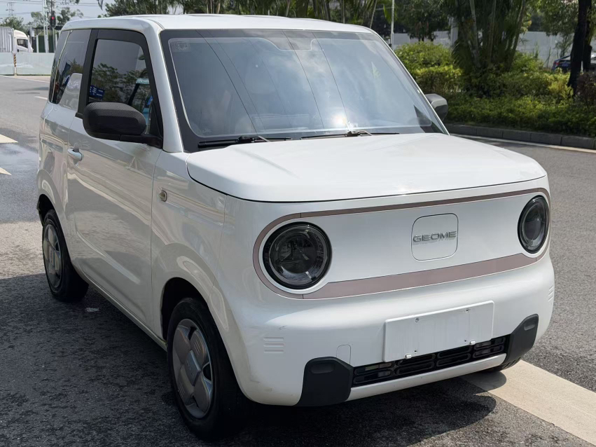 Geely Galaxy Panda 2023 Panda Mini 200km Endurance Bear — снимка 17