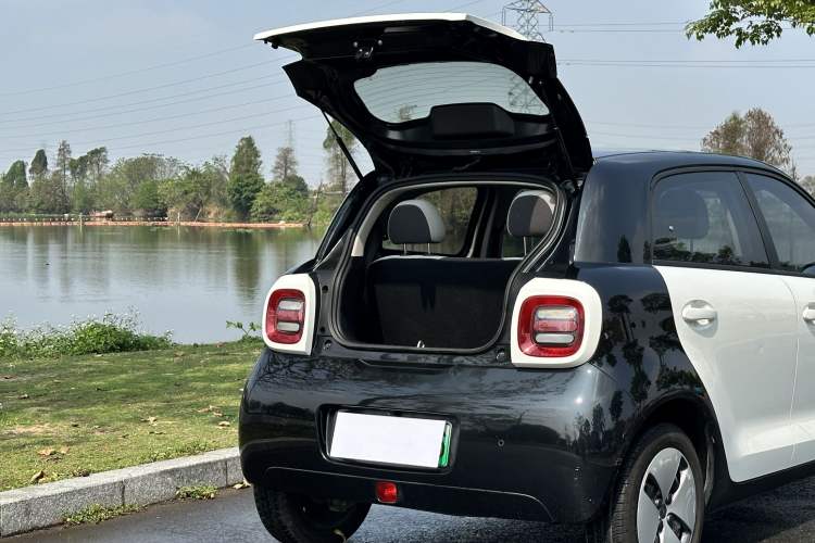 Used ORA Black Cat 2022 301km Base Version Ternary Lithium
