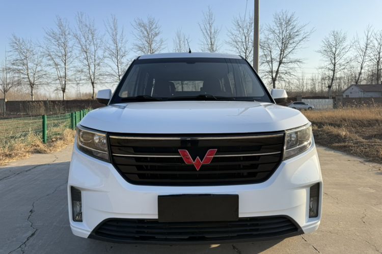 Used Wuling Hongguang PLUS 2019 1.5T Manual Luxury 7-Seater Exterior 4