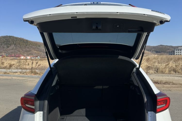 Used Honda Avancier 2020 370TURBO Two-Wheel Drive Luxury Edition
