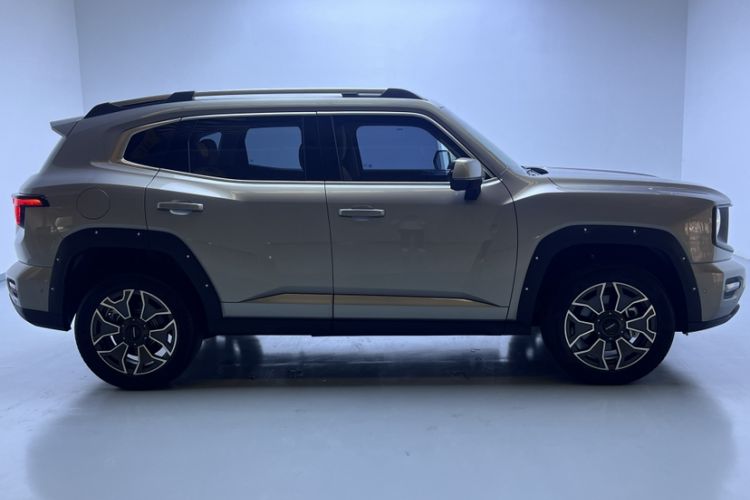 Used Haval H Dog New Energy 2024 Hi4 102km Trend Electric Version Plus
