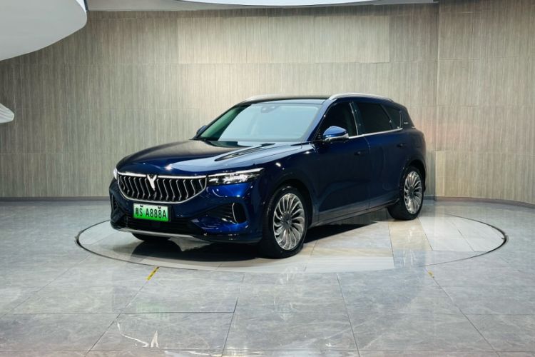 Used VOYAH FREE 2021 Four-Wheel Drive Standard Range-Extended Exclusive Luxury Package