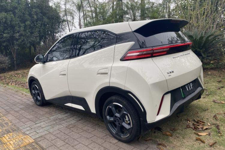 Used BYD Seagull 2023 Free Edition
