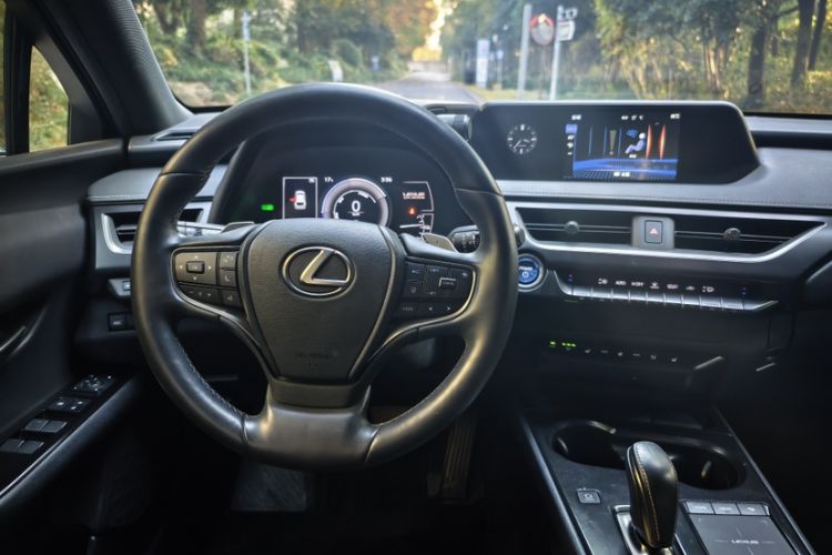 Used Lexus UX New Energy 2020 300e Pure·Joy Edition