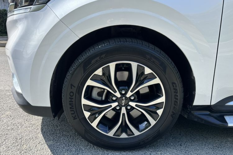 Used Kia Carnival 2021 2.0T Flagship Edition
