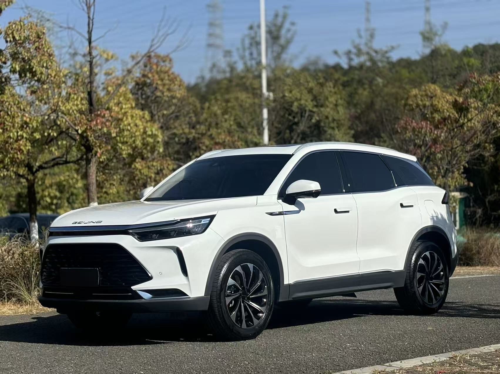 Parte inferior delantera