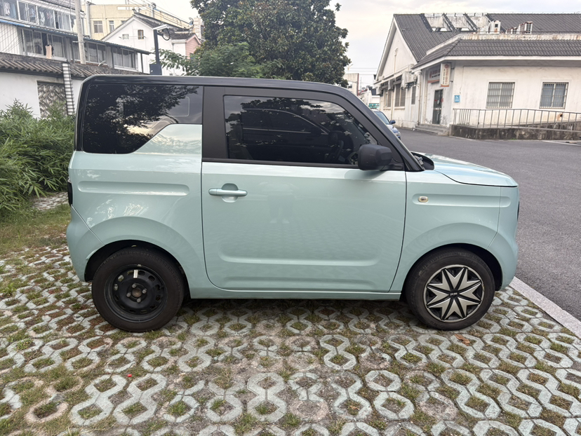 Geely Galaxy Panda 2023 Panda Mini 200km Dynamic Bear — снимка 16