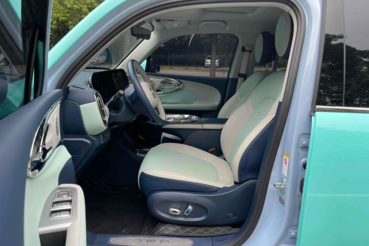 Used ORA Ballet Cat 2023 401 km Luxury Version
