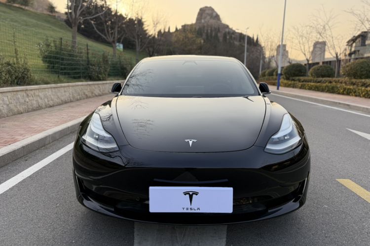 Used Tesla Model 3 2020 Standard Range Rear-Wheel Drive Upgraded Version