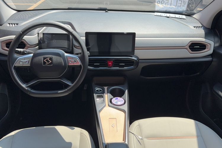 Used SOL E10X 2022 Flower Fairy Design Four-Leaf Clover