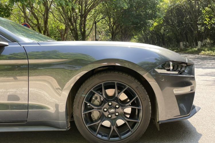 Used Ford Mustang 2019 2.3L EcoBoost Performance Enhanced Edition
