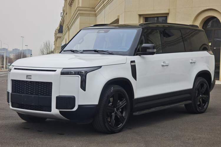 Used Polestones 01 2023 All-Purpose 7-Seater Version