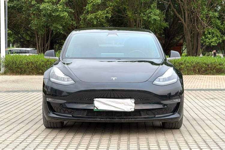 Used Tesla Model 3 2020 Long-Range Rear-Wheel-Drive Version Exterior 5