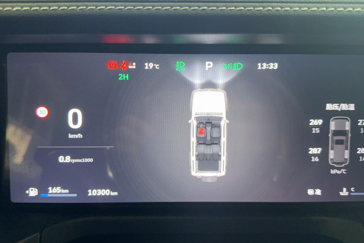 Used Tank 300 2025 2.4T Diesel Version