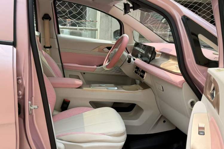 Used Geometry E Firefly 2024 401 km Fluorescent Right Front Seat