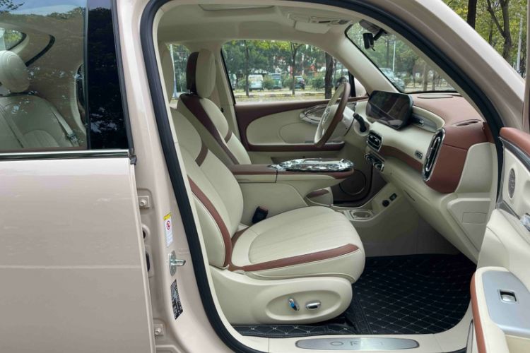 Used ORA Ballet Cat 2023 401 km Luxury Version