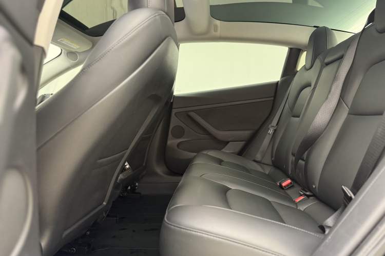 Used Tesla Model 3 2021 Standard Range Rear-Drive Upgraded Version