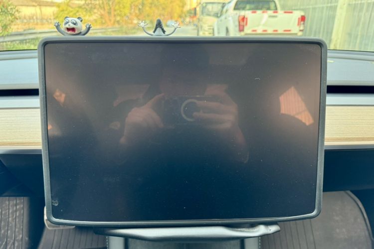 Used Tesla Model 3 2022 Rear-Wheel-Drive Version