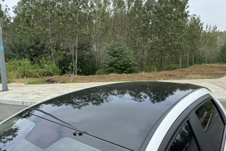 Used Geometry EX3 Kung Fu Cow 2021 Tough Bull Cow Roof