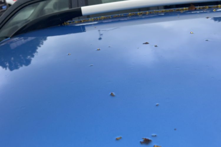 Used SAIC MAXUS T70 2021 2.0T Diesel Automatic 4x4 Advanced Version with Long Bed and High Ground Clearance
