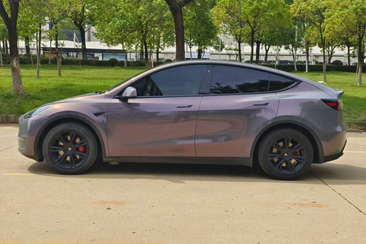 Used Tesla Model Y 2021 Standard Range Rear-Wheel Drive Version
