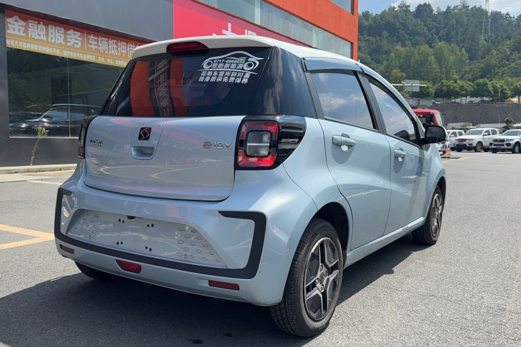 Used SOL E10X 2022 Flower Fairy Design Four-Leaf Clover