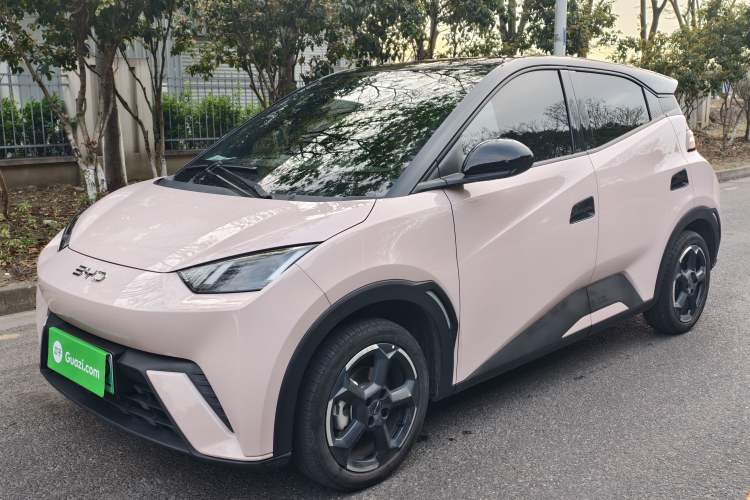 Used BYD Seagull 2024 Honor Edition 305km Freedom Version