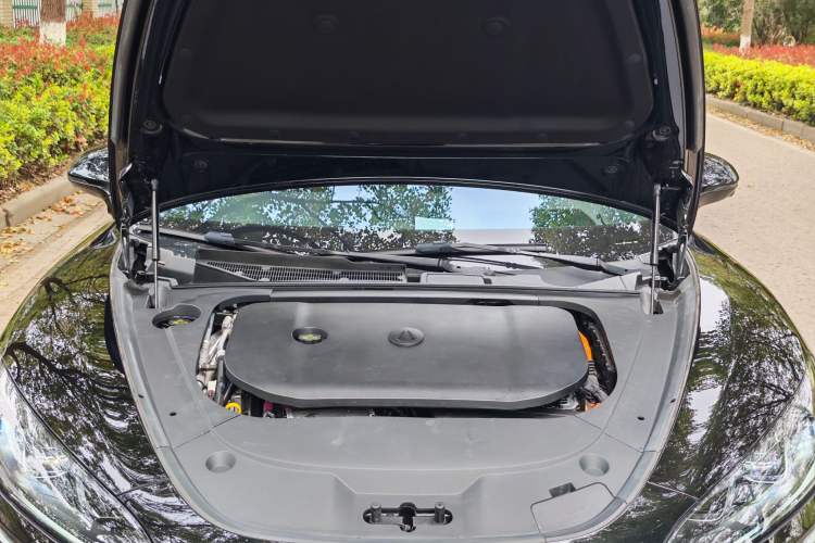 Used Denza Z9 2024 1100 km Four-Wheel Drive Max Version
