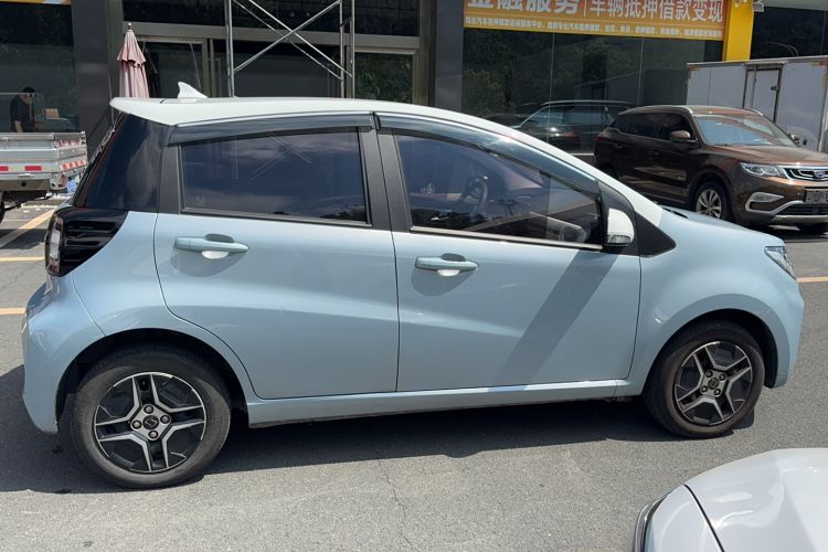 Used SOL E10X 2022 Flower Fairy Design Four-Leaf Clover