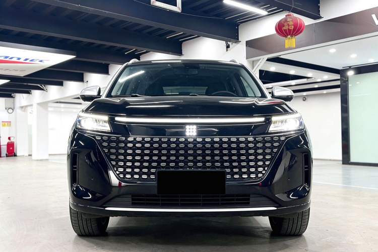 Used Landian E5 2024 Honor Edition 100KM Premium Model 7 Seats
