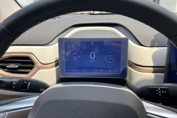 Used SOL E10X 2022 Flower Fairy Style Baby's Breath