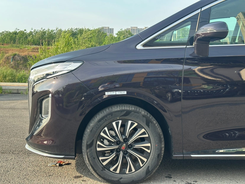 Hongqi HQ9 PHEV 2024 2.0T Four-Wheel Drive Business Edition — снимка 16