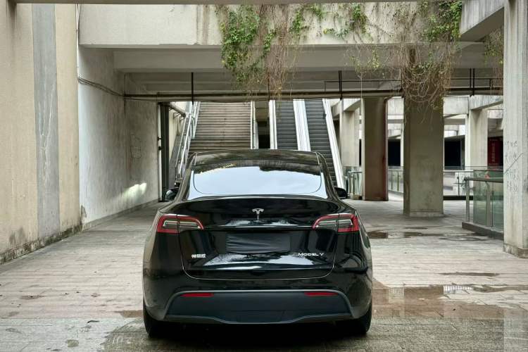 Used Tesla Model Y 2021 Standard Range Rear-Wheel Drive Version
