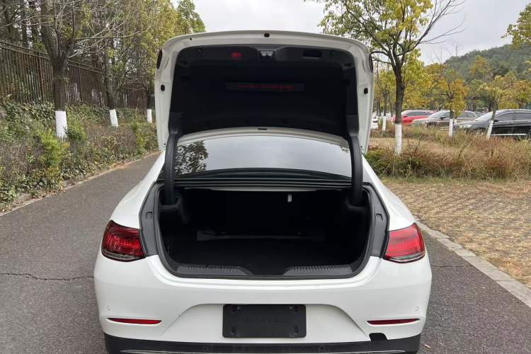 Used Mercedes-Benz CLS 2020 CLS 260
