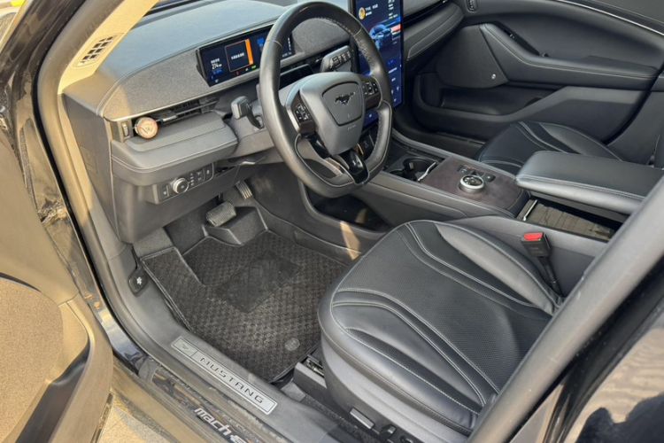 Used Ford Mustang Mach-E 2021 AION Y Plus Rear-Drive Luxury Edition (Long Range)