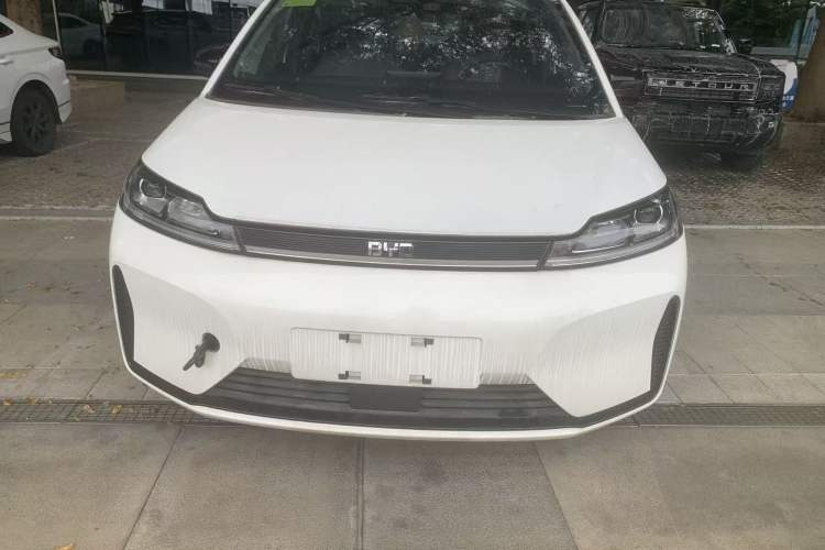 Used BYD D1 2022 Standard Edition
