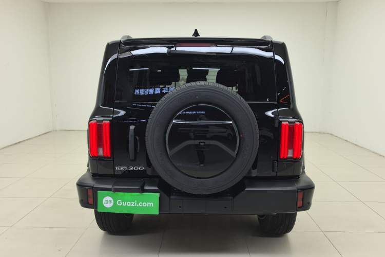 Used Tank 300 2024 2.0T Conqueror Exterior 5