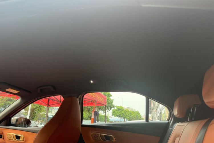 Used NETA X 2024 500 First Edition
